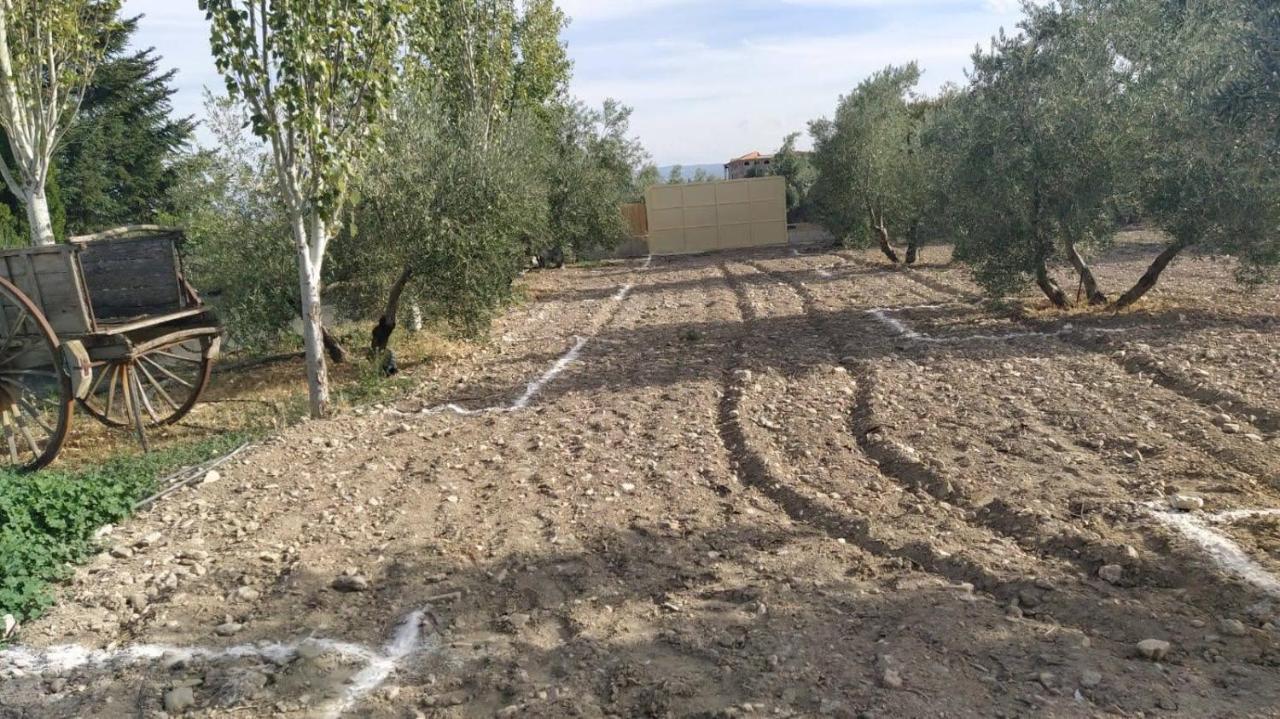 Cortijo La Torre De Caniles La Vega  Екстериор снимка